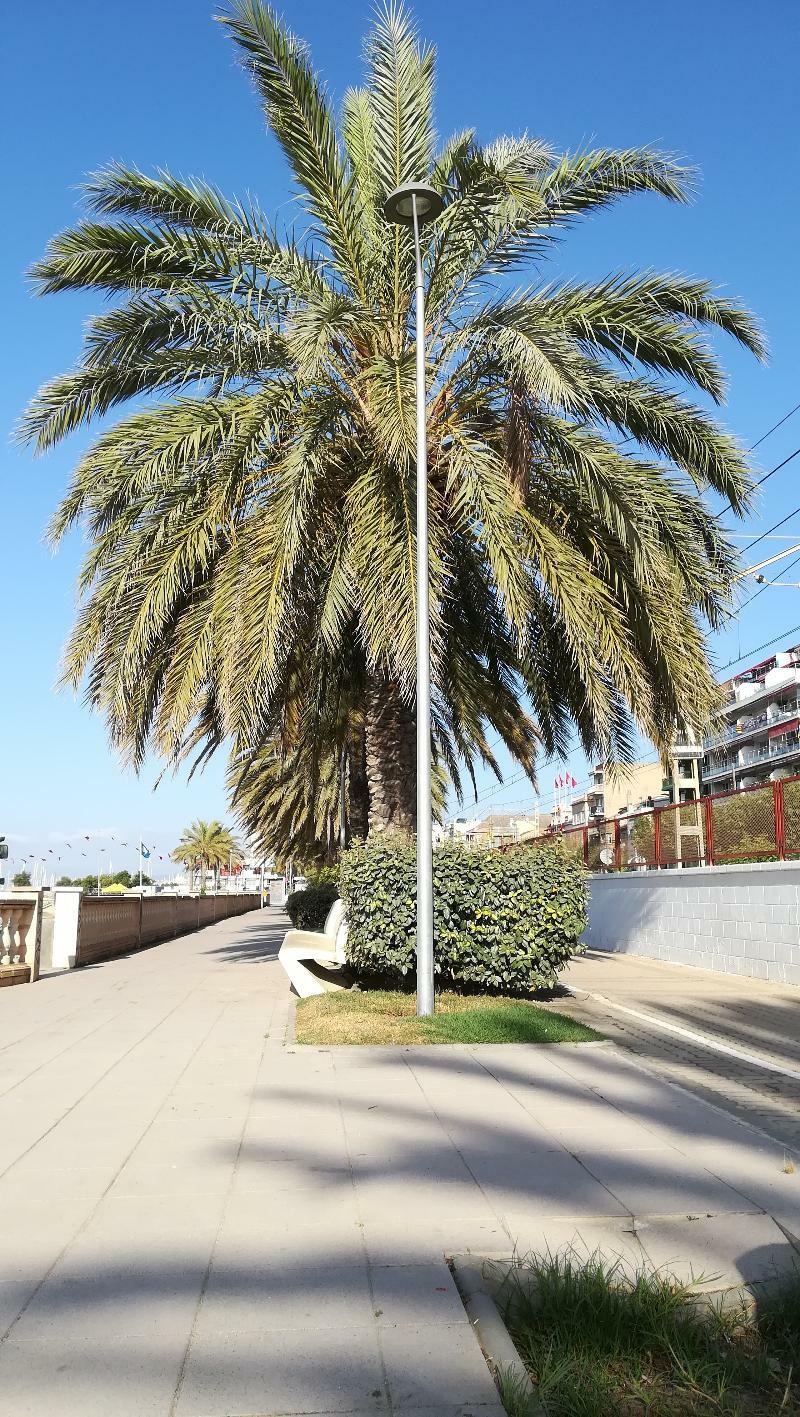 Terrassa De Mar Apartment Masnou Exterior photo